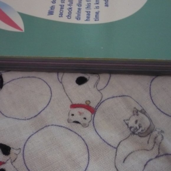 FIRST EDITION 'The Little Book of Hindu Deities By Sanjay Patel - Picture 5 of 11